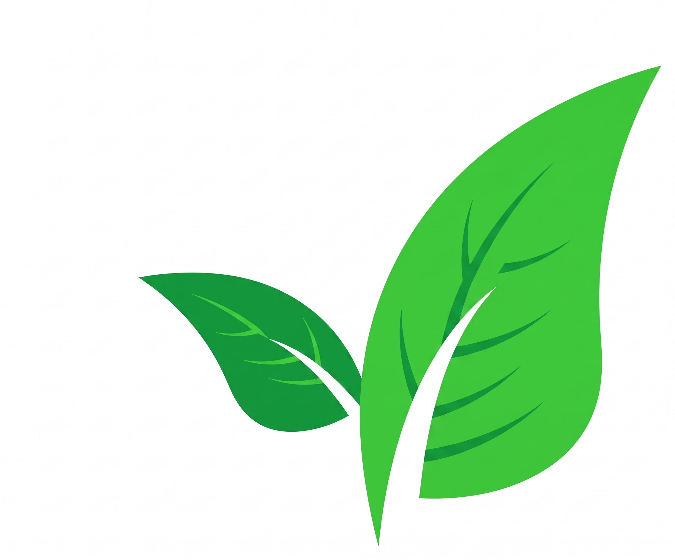 Leaf Icon